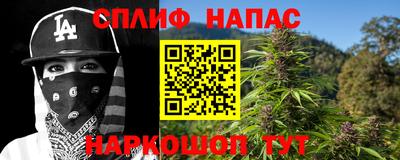 шишки Будённовск