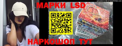 шишки Будённовск