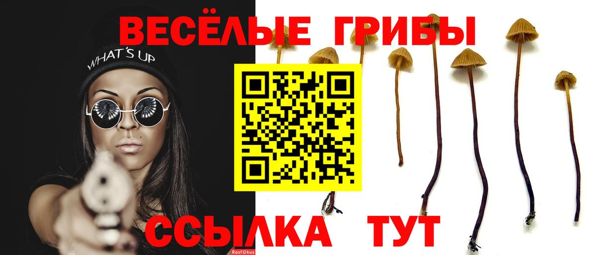 Сарапул  Галлюциногенные грибы Cubensis  Вход с VPN 